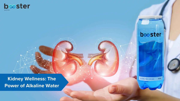Unlocking Kidney Wellness: The Power of Alkaline Water - Booster Water
