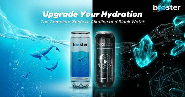 Upgrade Your Hydration — The Complete Guide to Alkaline and Black Water