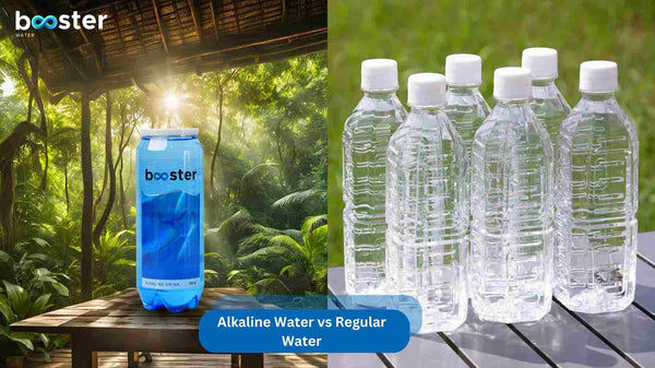 Alkaline Water vs Regular Water: Key Difference - Booster Water