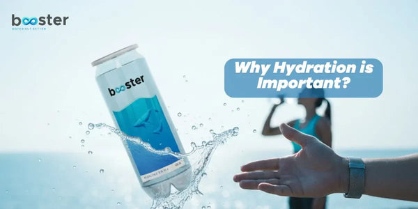 Why Hydration Is Important 