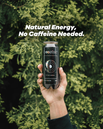 Booster Black Alkaline Drink| Mineral - Infused | 500ml - Booster Water